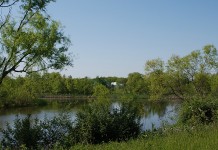 USDA adds 800,000 acres to CRP CRP restored wetland in Ohio