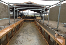 Ohio prison farms begin selling cows, bidding to buy milk Prison farm dairy parlor