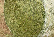 Take a second look at your hay habit wrapped hay bale
