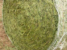 wrapped hay bale