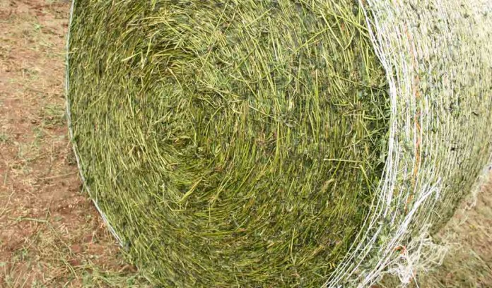 wrapped hay bale