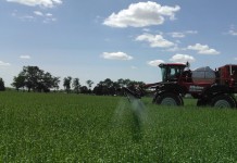 Wet spring delays planting, cover crop termination cereal rye spray