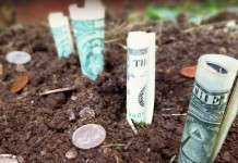 Grants for farmers dollar bills and coins in soil