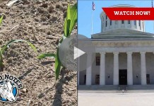 Field Notes: planting progress, CAUV stalls Field Notes collage for May 26, 2016