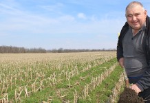 Mimicking nature: Cover crop guru Dave Brandt was an early adapter Cover crops and earth.