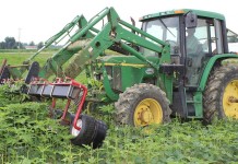 Organic grain is gaining ground organic weed puller