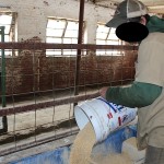 Ohio’s prison farm dairy cattle net $1.3 million Inmate pouring feed