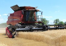 Crop progress and condition all depend on where you live Wheat harvest
