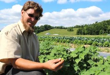 Coshocton County grower blossoms in the city, thanks to CSA Blossom Acres Produce