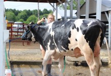Ask FSA Andy about youth loans Taking a bath