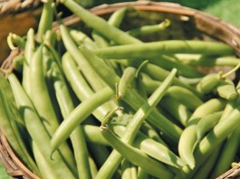 Grandma’s pressure cooker green beans green beans in basket