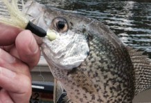 Where’s the big catch? blue gill