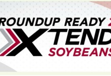 Roundup Ready 2 Xtend soybeans get EU import nod rr extend soybeans