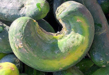 Try giving ugly food a chance ugly food