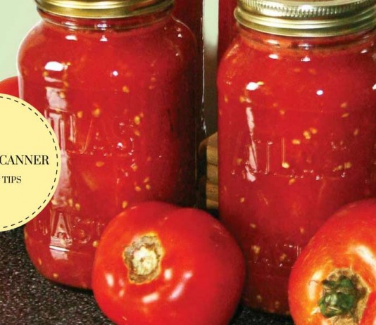 canning tomatoes