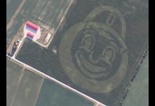 Multi-hybrid planting technology creates Brutus Buckeye in corn field Brutus Buckeye corn planting