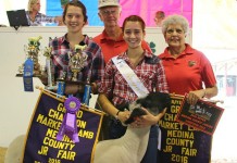 Medina County youth sell junior fair projects for top dollar Medina fair header