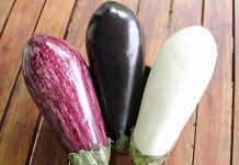 15 tips for growing eggplant speckled, purple and white eggplant