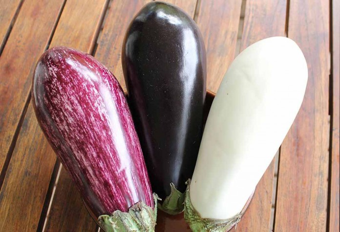 speckled, purple and white eggplant