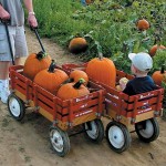 Little red wagon is a keeper red wagon