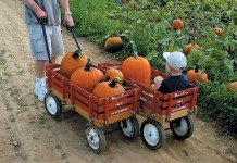 Little red wagon is a keeper red wagon