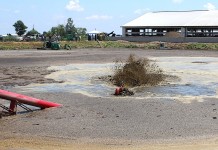 Livestock farmers face emissions deadline Manure agitation