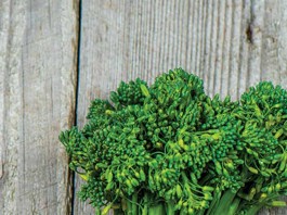 broccoli