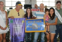 Ashtabula County Fair market livestock sale totaled $290,593