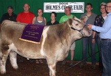 Holmes County Fair holds first sale at new fairgrounds