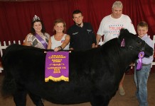Lawrence County Fair market livestock sale winners Lawrence County grand champion steer