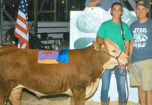 2016 Cuyahoga County junior fair livestock sale results Grand champion steer