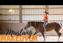 Extreme Mustang Makeover