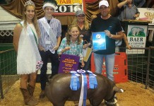 Mahoning County 4-H, FFA members sell livestock at Canfield Fair