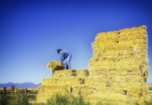 5 general farm labor laws