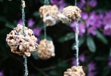 How to make the ultimate pinecone bird feeder Pine cone bird feeder