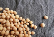 Ohio Soybean Council technologies named R&D award finalists