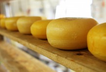 Penn State to offer cheese-making course