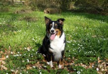 Remembering Miss Murphy