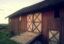 Close the door before the cows get out