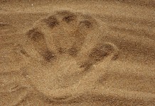 There are many ways we can work toward a better land ethic