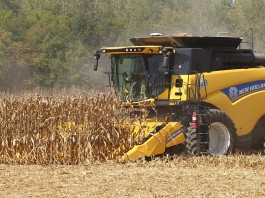 Slipping into harvest unprepared New Holland corn combine