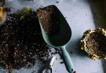 Soil health, preparing garden for fall