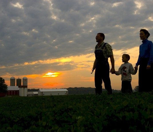 4 tips for balancing your farm and family