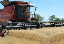 US export promotion programs boosted U.S. farm export value by 15% Wheat harvest