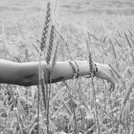 W.Va. Women in Agriculture conference set