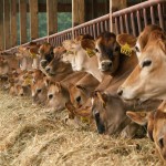 PennAg, Sunoco Logistics launch biosecurity training in January