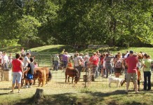 Does agritourism fit your farm? 8 things to consider