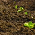 New Holland acquires Kongskilde