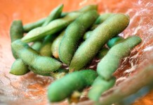 Advice for growing organic soybeans