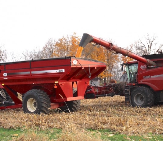 Corn harvest 2016